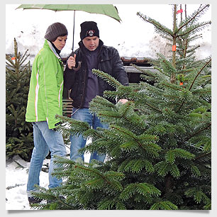 Fachmännische Beratung aus der Weihnachtsbaummanufaktur Christbaumservice Ottmar Eckart Niederstaufen